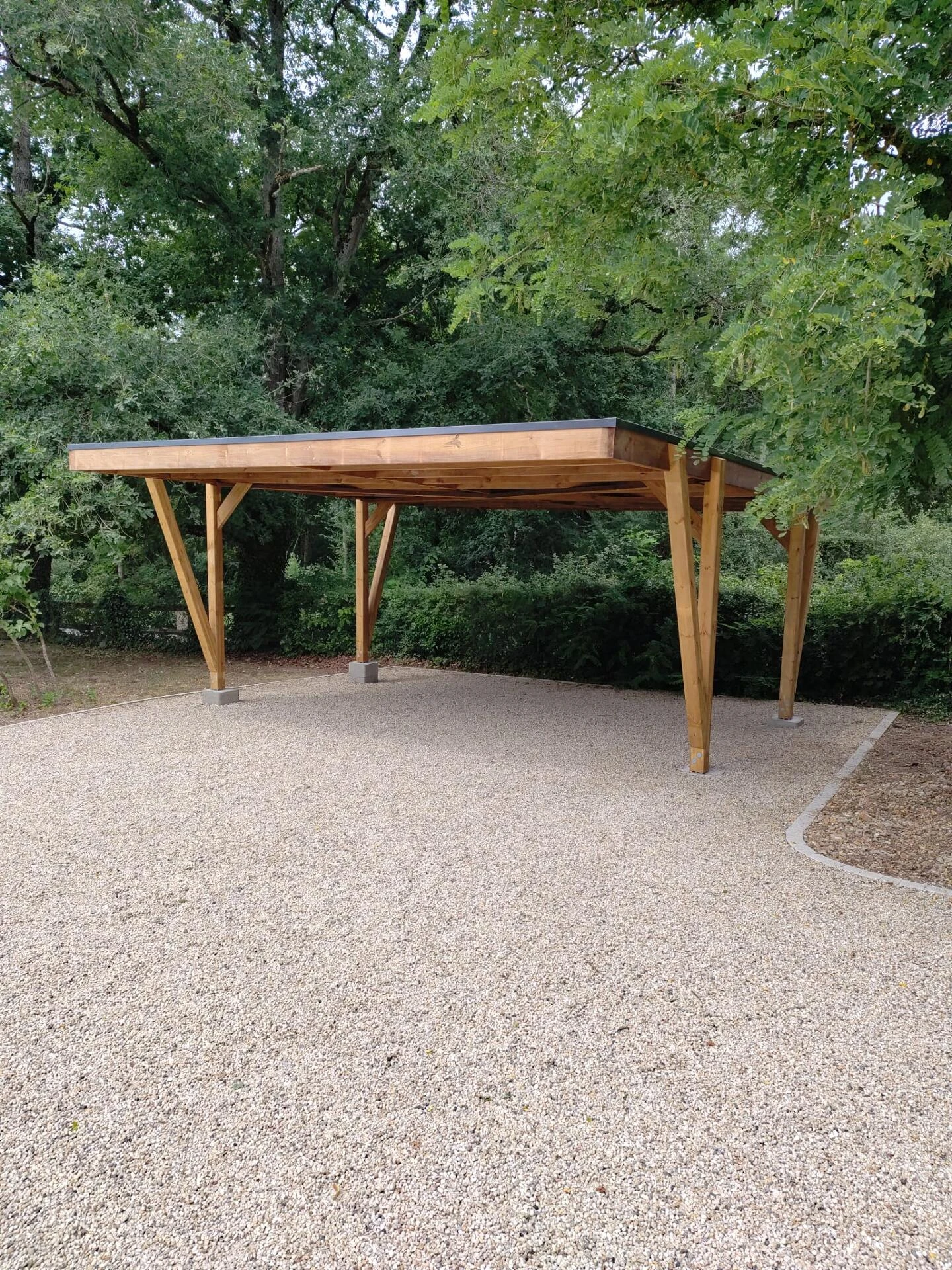 Carport bois 2 places