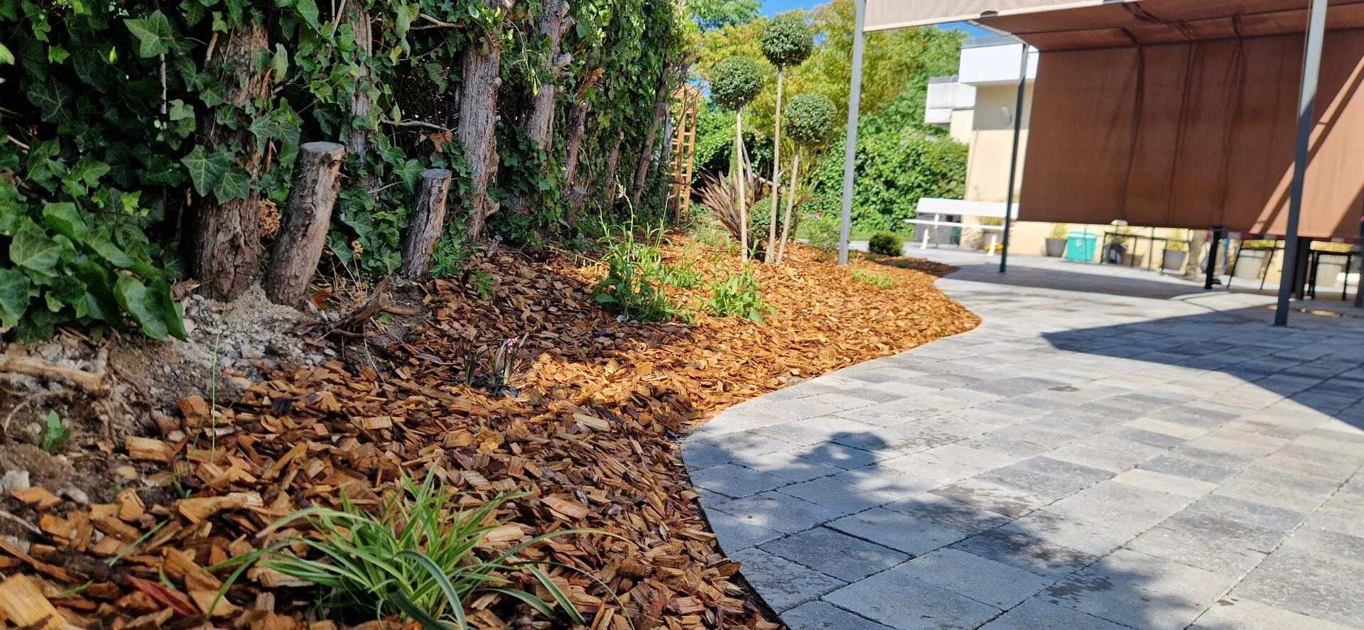Massif avec Copeaux de bois