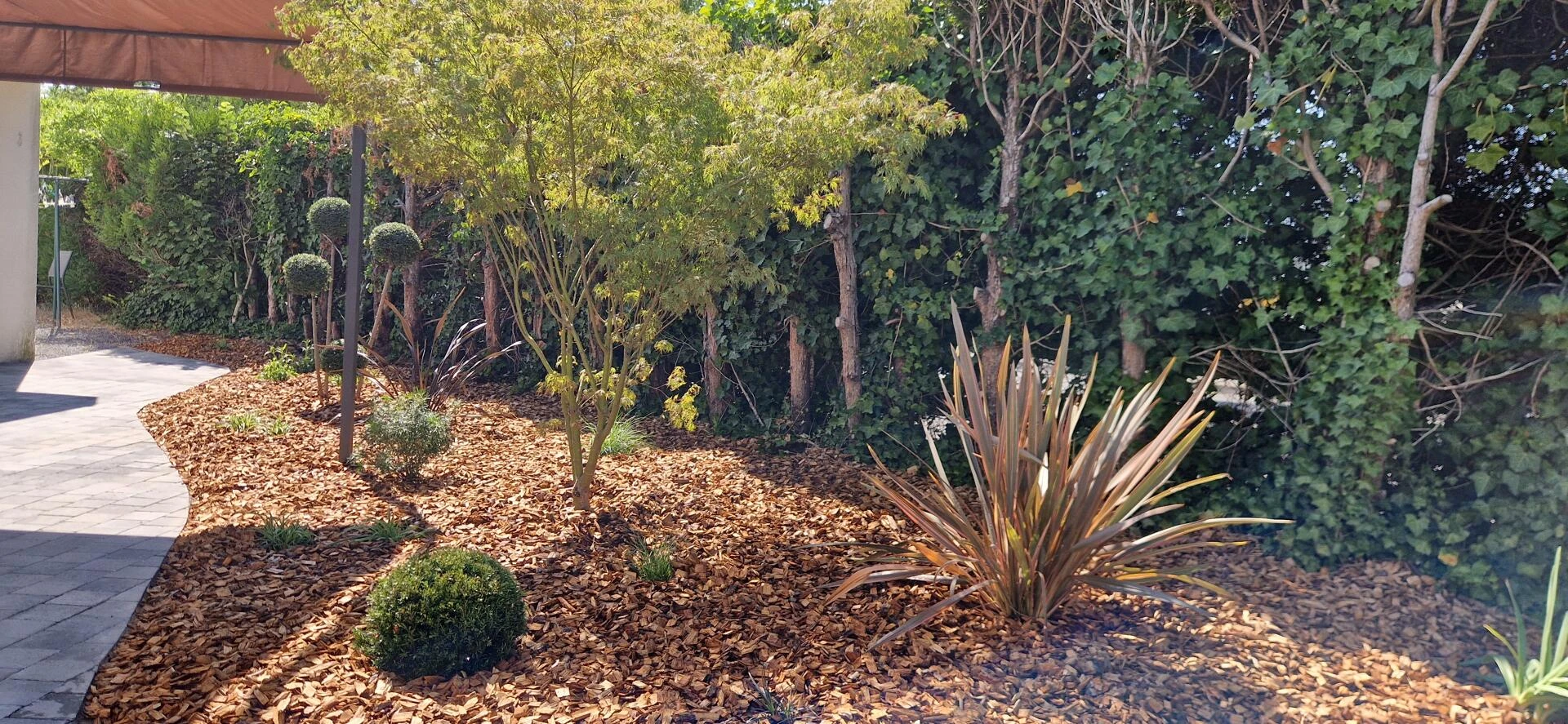 Massif avec Copeaux de bois