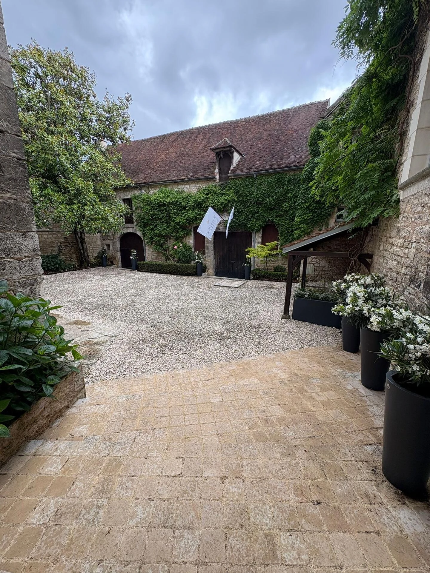 Mise en valeur d'une cour