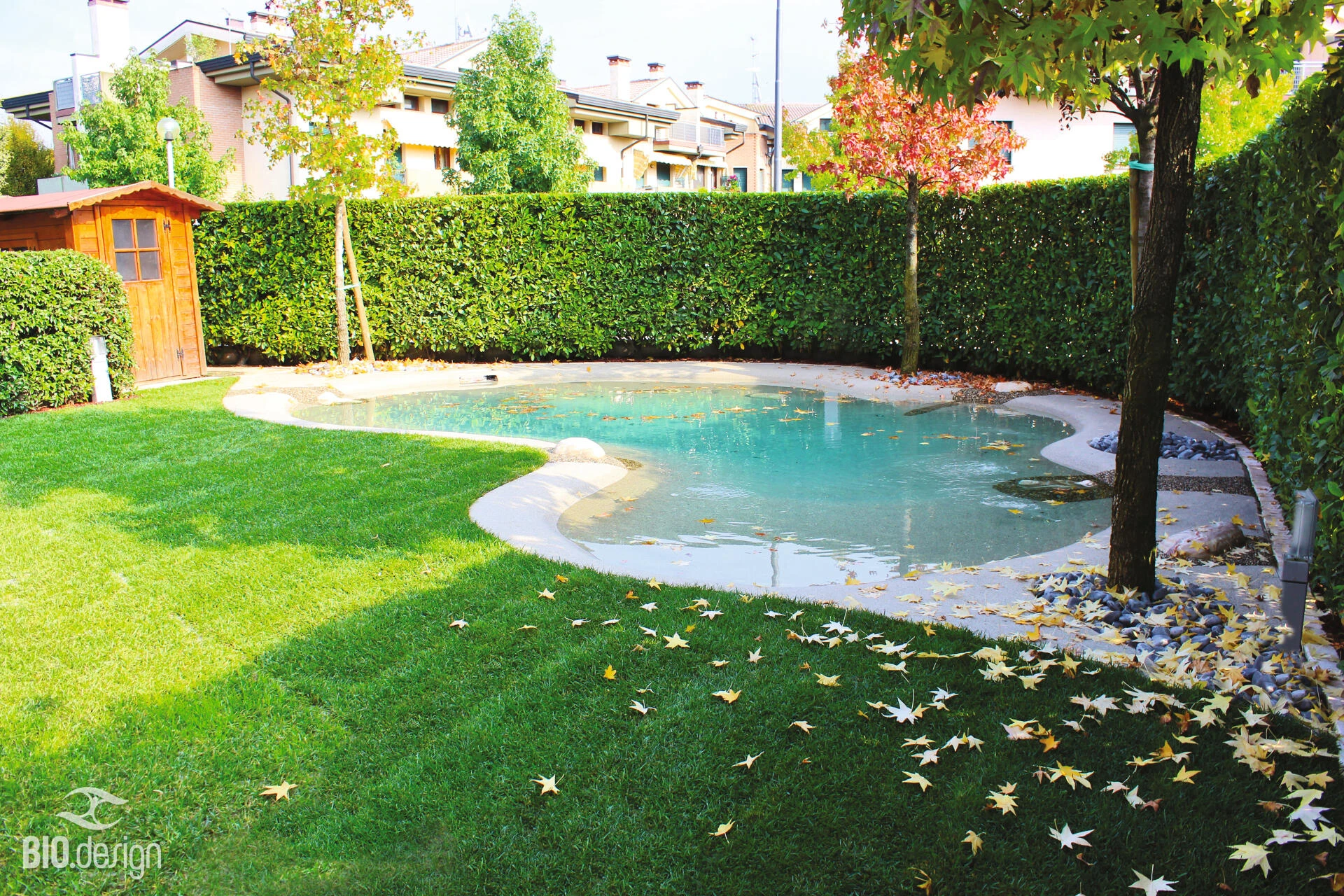 Piscine lagon