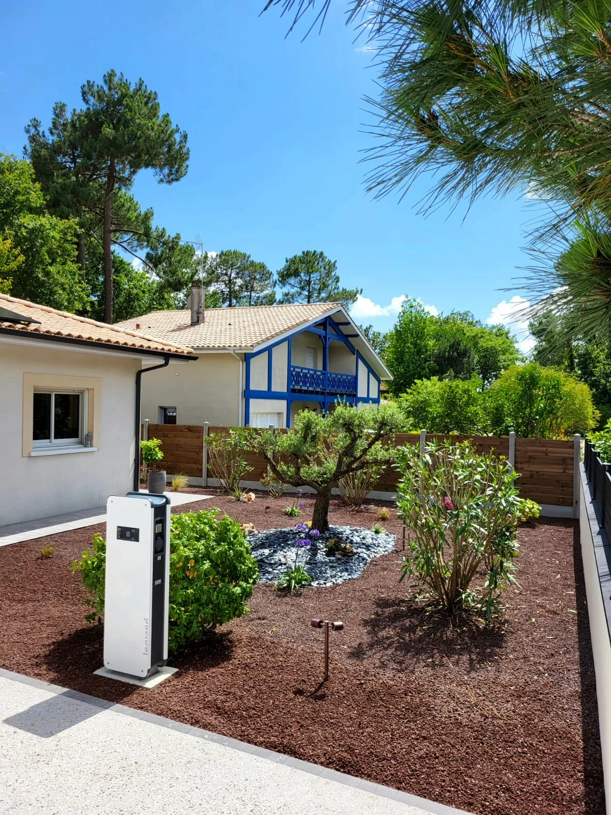 Plantation arbres et arbustes