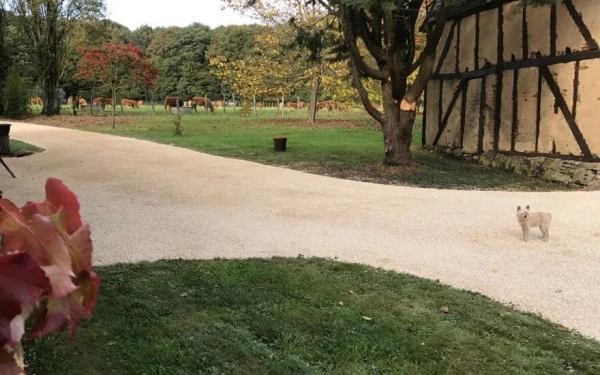 Allée piétonne en Gravistar®