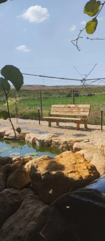 Aménagement d'un bassin, mise en lumière, banc forestier et végétaux