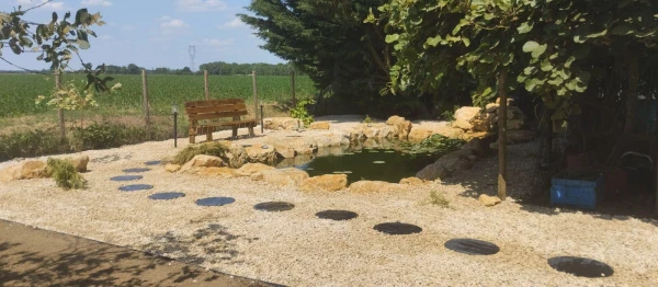 Aménagement d'un bassin, mise en lumière, banc forestier et végétaux