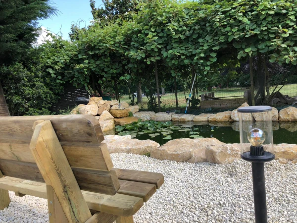 Aménagement d'un bassin, mise en lumière, banc forestier et végétaux