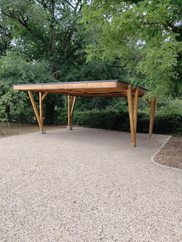 Carport bois 2 places