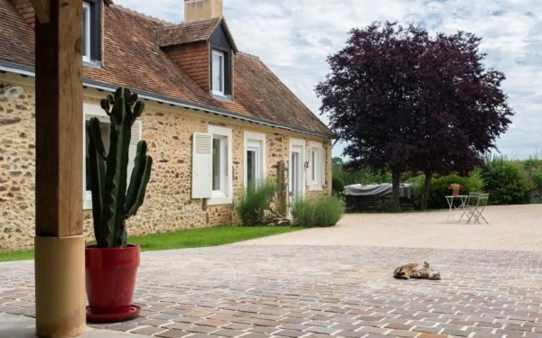 Cour en Alvéostar® et pavage