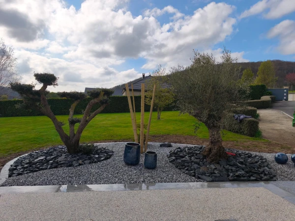 Création paysagère avec plantation d'arbres et d'arbustes + paillage