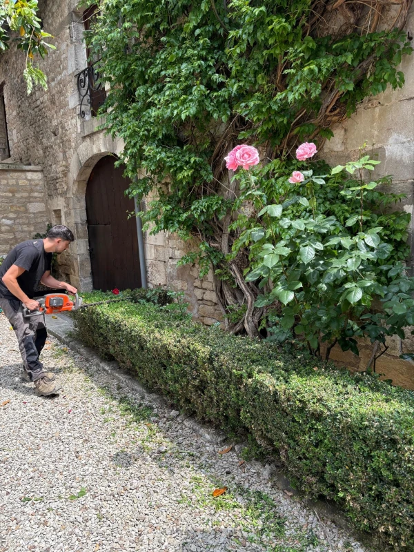 Mise en valeur d'une cour
