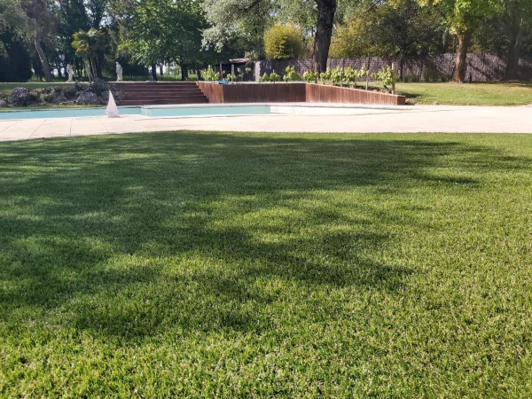 Plage de piscine en Dm green®