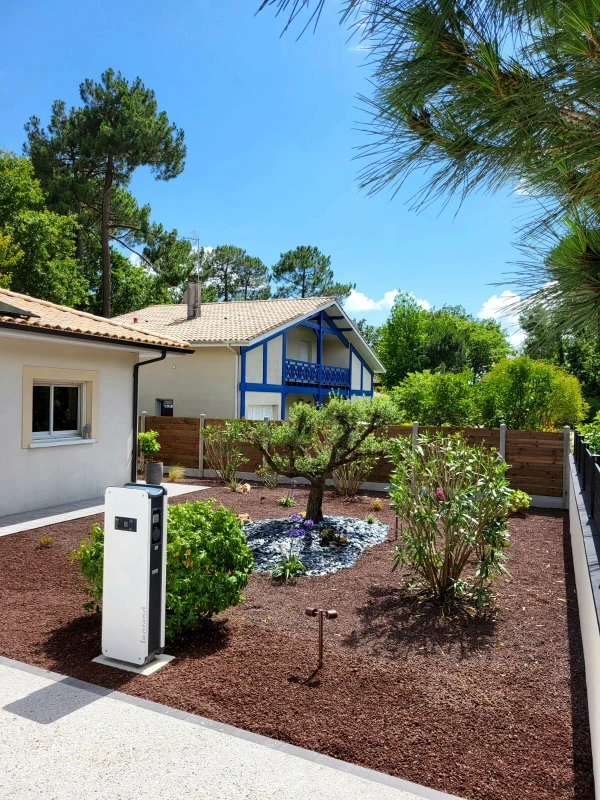 Plantation arbres et arbustes