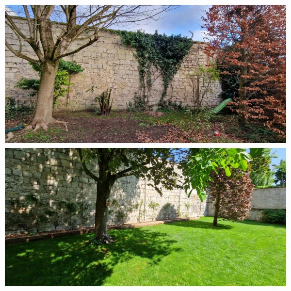 Taille d'arbres et d'arbustes
