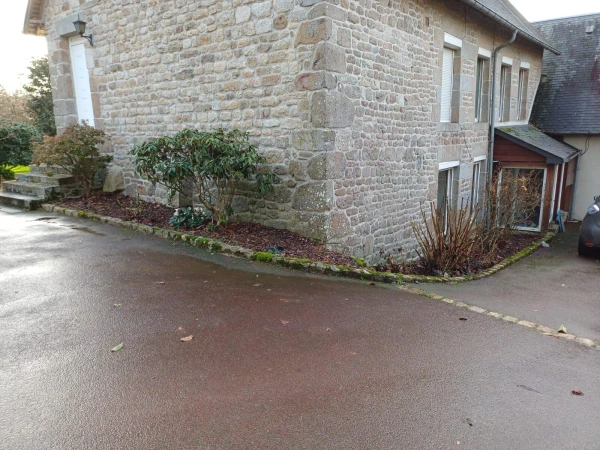 Taille d'arbustes