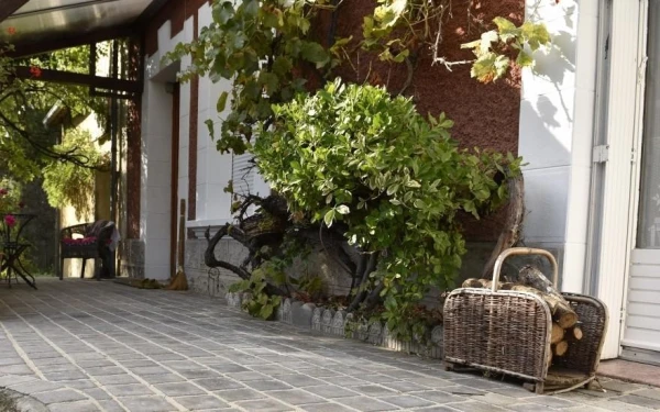 Terrasse en pavage